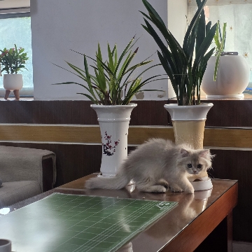 사용자 이미지