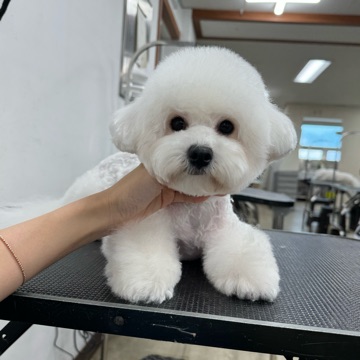 서지영 고수 프로필