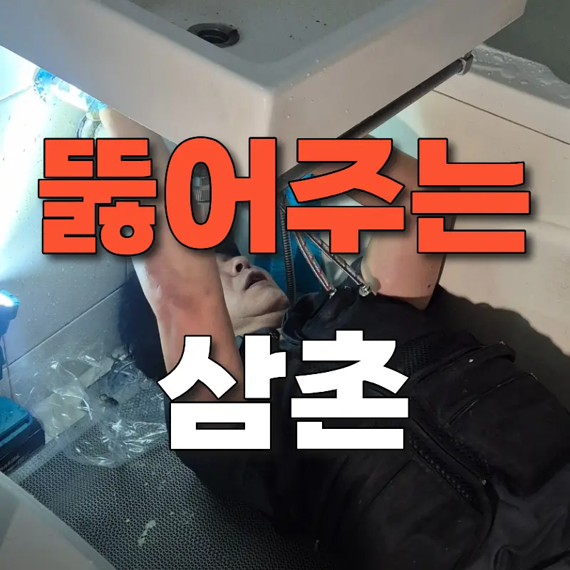사용자 이미지