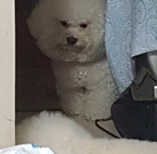 사용자 이미지