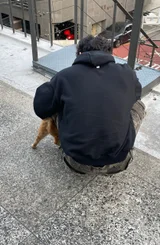 사용자 이미지