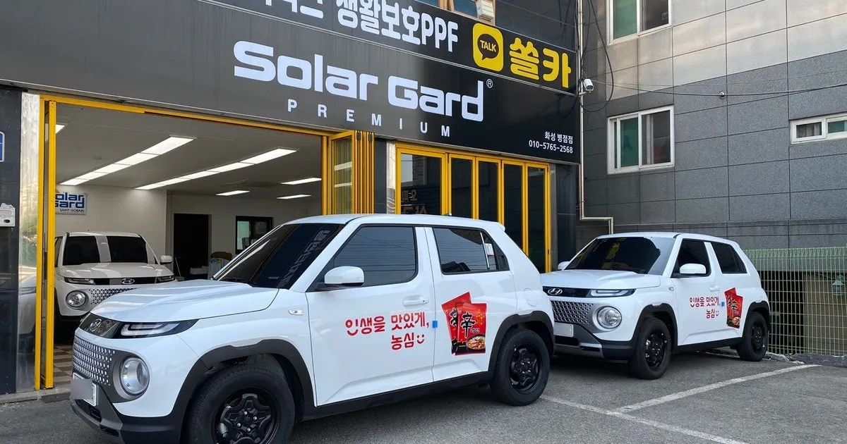 솔라가드 프리미엄 화성 병점점 고수의 자동차 썬팅 서비스, 경기 화성시 - 숨고, 숨은고수 솔라가드 프리미엄 화성 병점점 고수의 자동차 썬팅... 