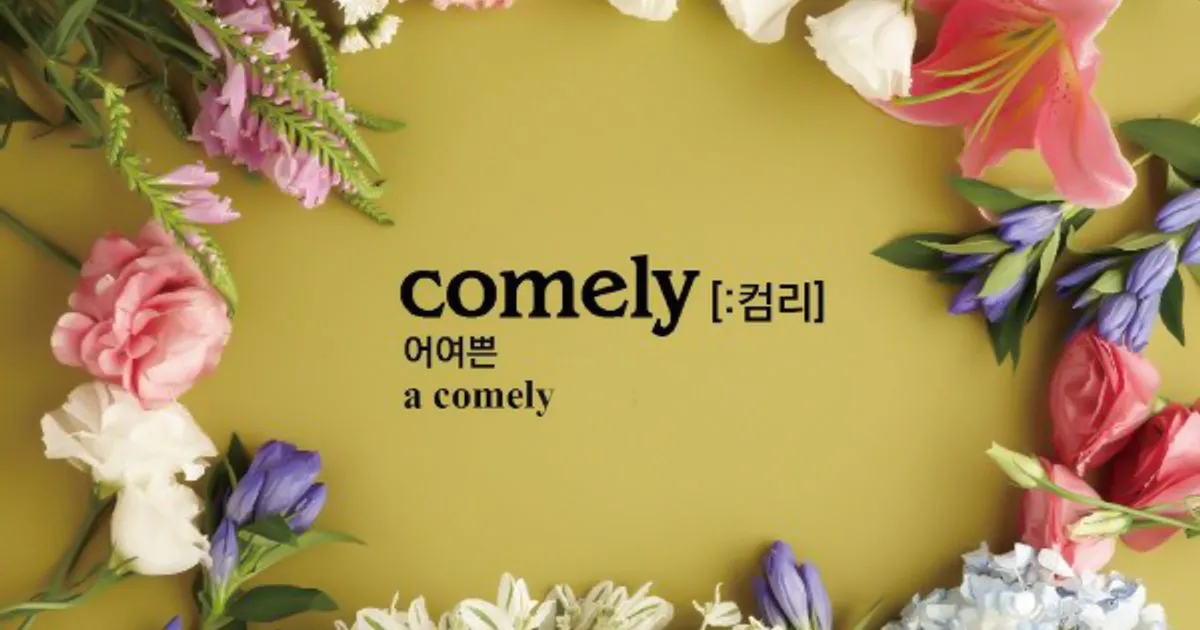 컴리디자인하우스 고수의 웹 디자인 서비스, 인천 연수구 - 숨고, 숨은고수 컴리디자인하우스 고수의 웹 디자인 서비스, 인천 연수구
