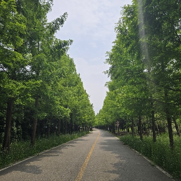 민병극 고수 프로필
