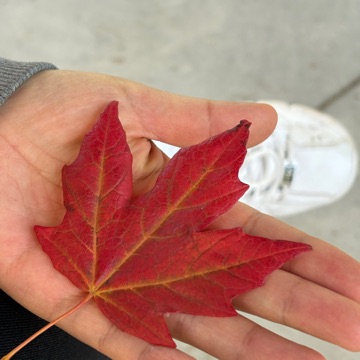 글소남 고수 프로필