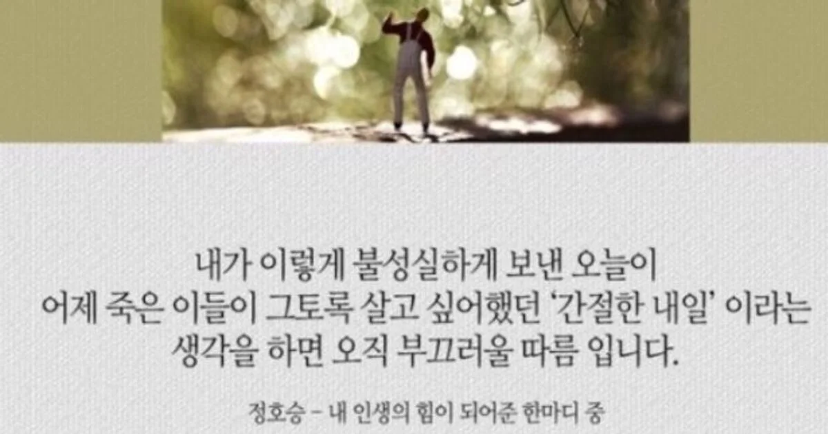 친절한 짱구의 이사 고수의 국내 이사 서비스, 인천 미추홀구 - 숨고, 숨은고수 친절한 짱구의 이사 고수의 국내 이사 서비스, 인천 미추홀구
