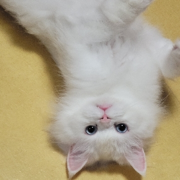 사용자 이미지
