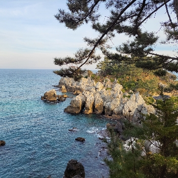 사용자 이미지