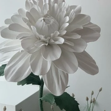 사용자 이미지