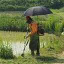 아모징(다누리) 예초/벌초/벌목