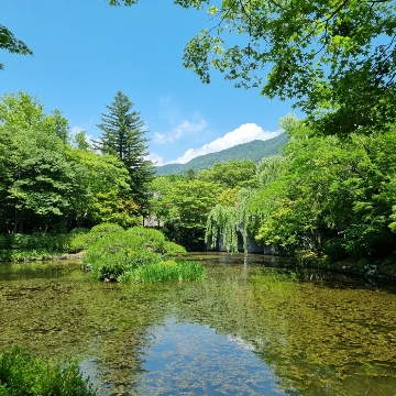사용자 이미지