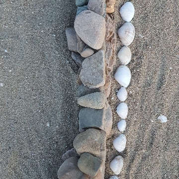 사용자 이미지