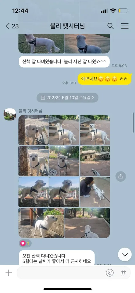 리뷰 이미지