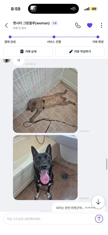 리뷰 이미지