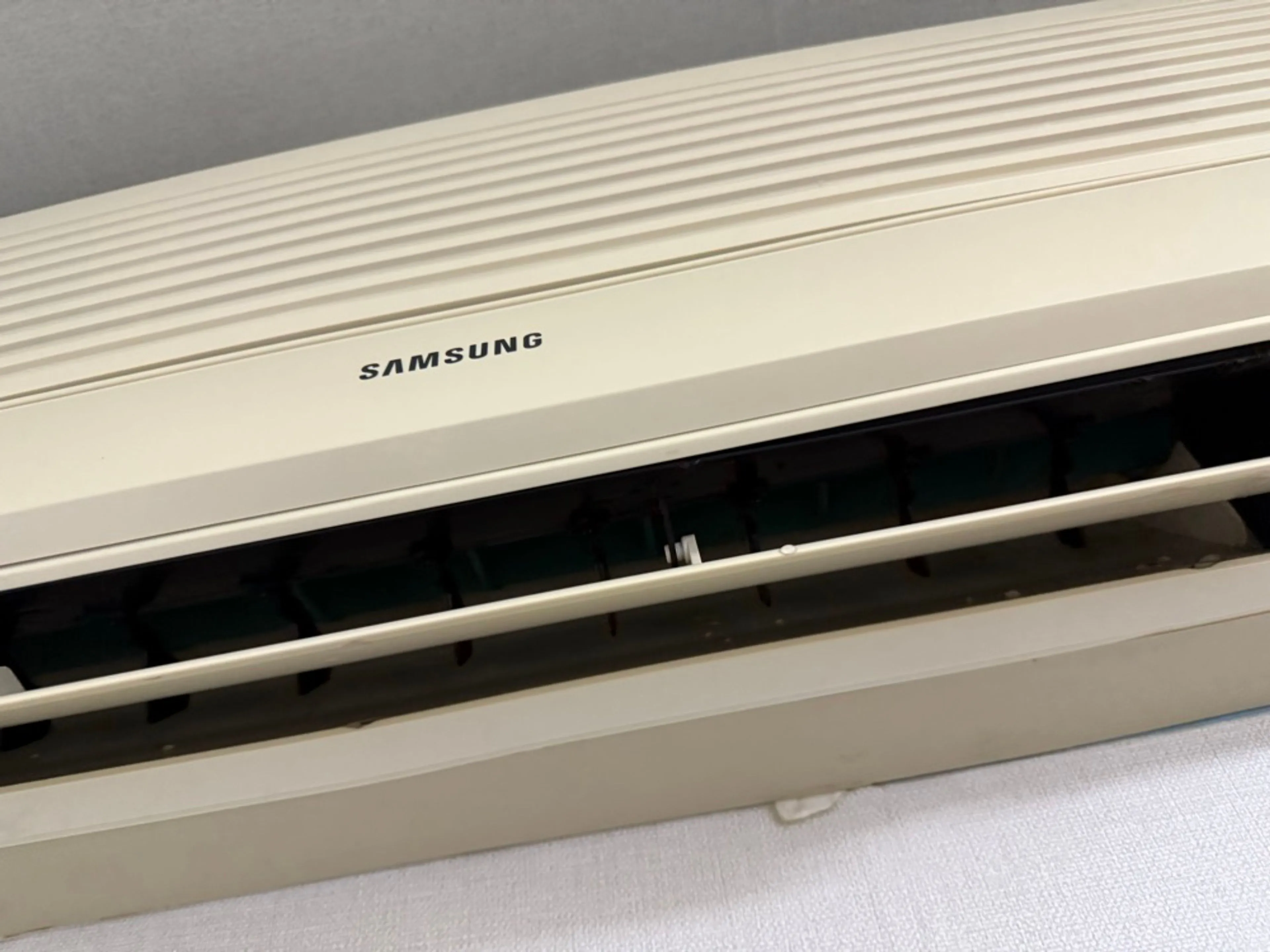EA781BFB-AD30-4D19-B716-4404E3BA8AF5.jpg