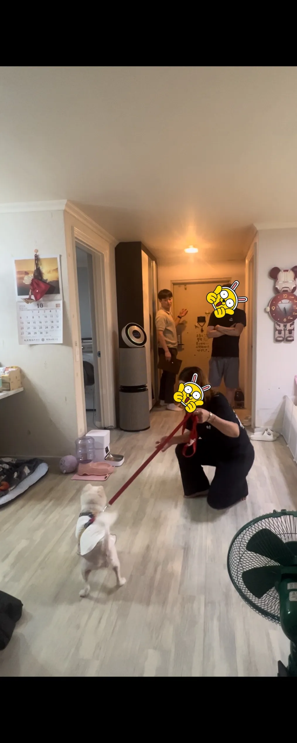 리뷰 이미지