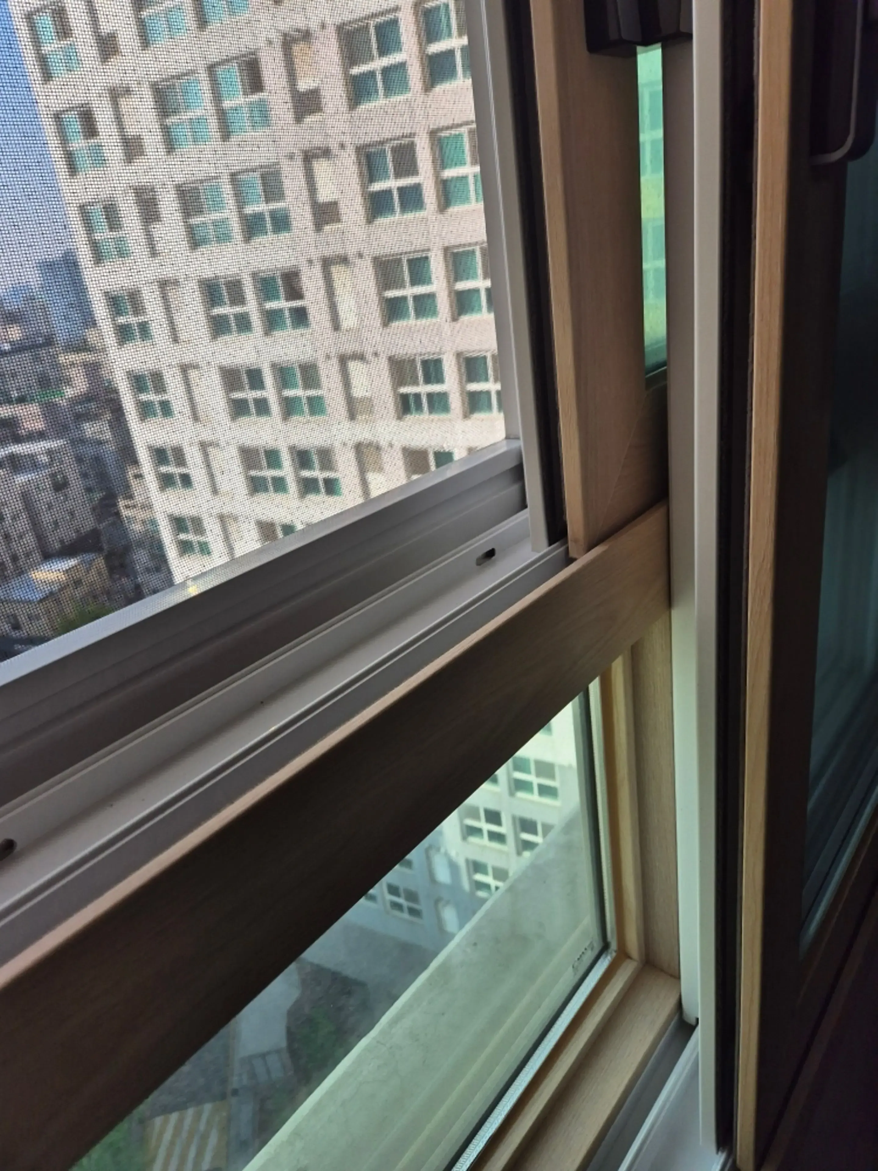 d43a1660-5261-411f-a204-cab1ddc3acd1.jpg