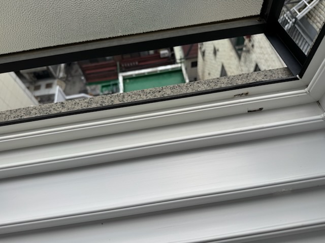 후기 사진 6