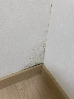후기 사진 4