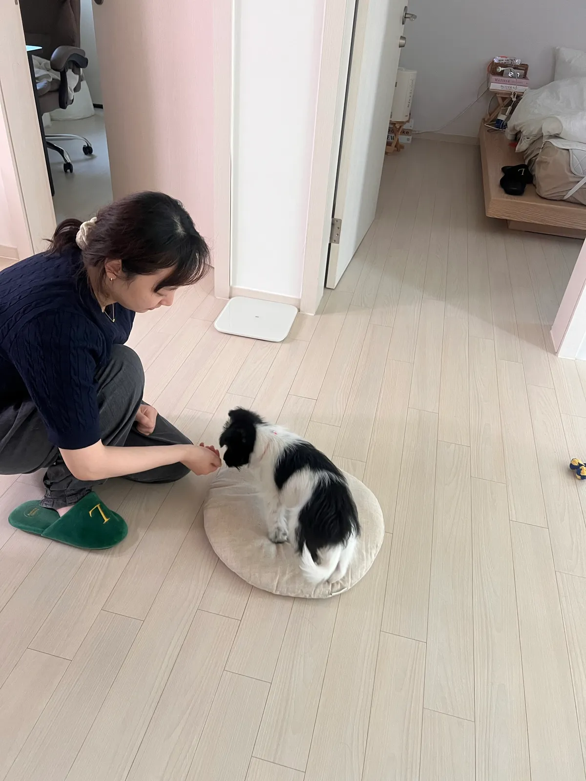 리뷰 이미지