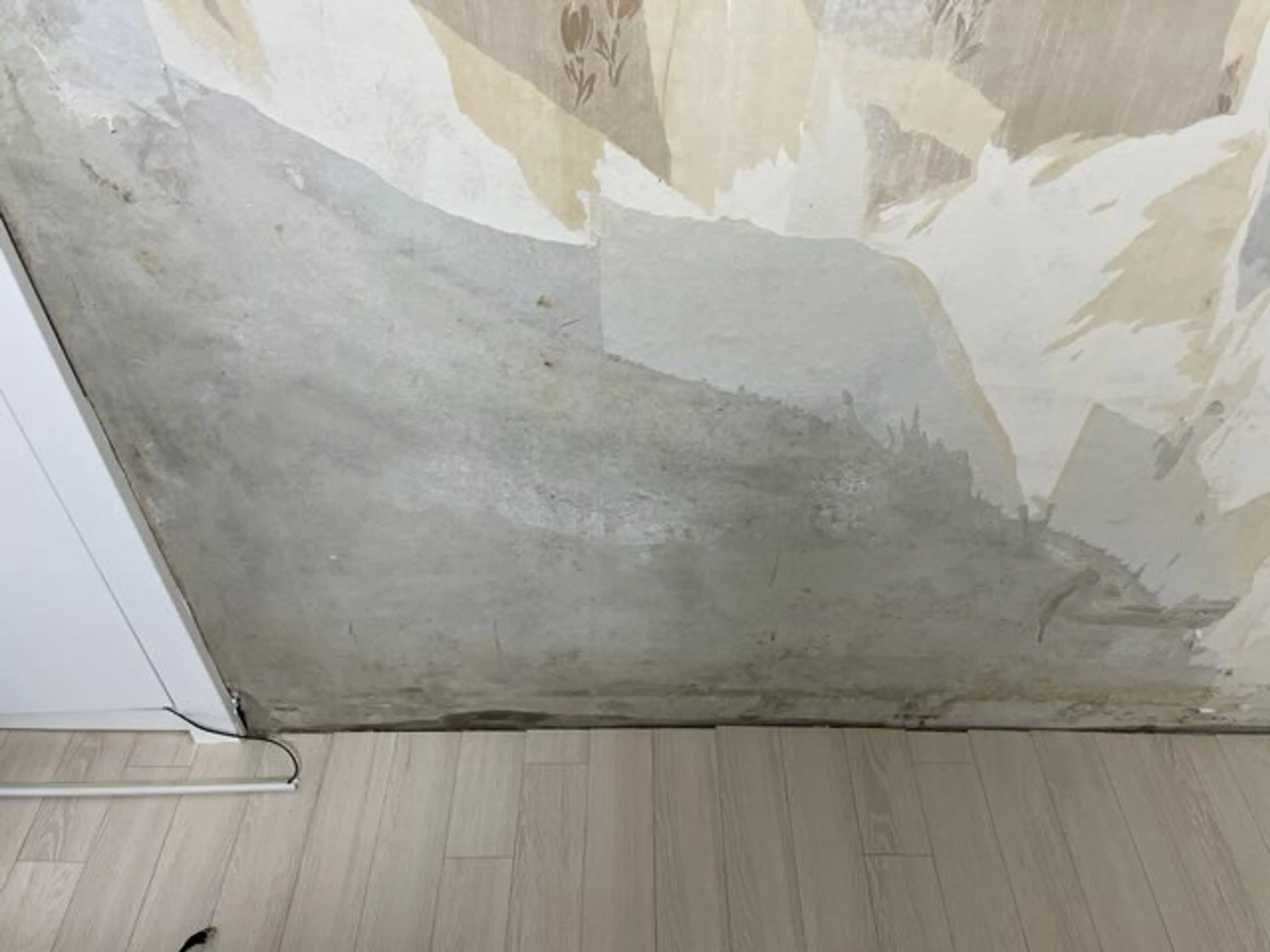 1753518003035.jpg
