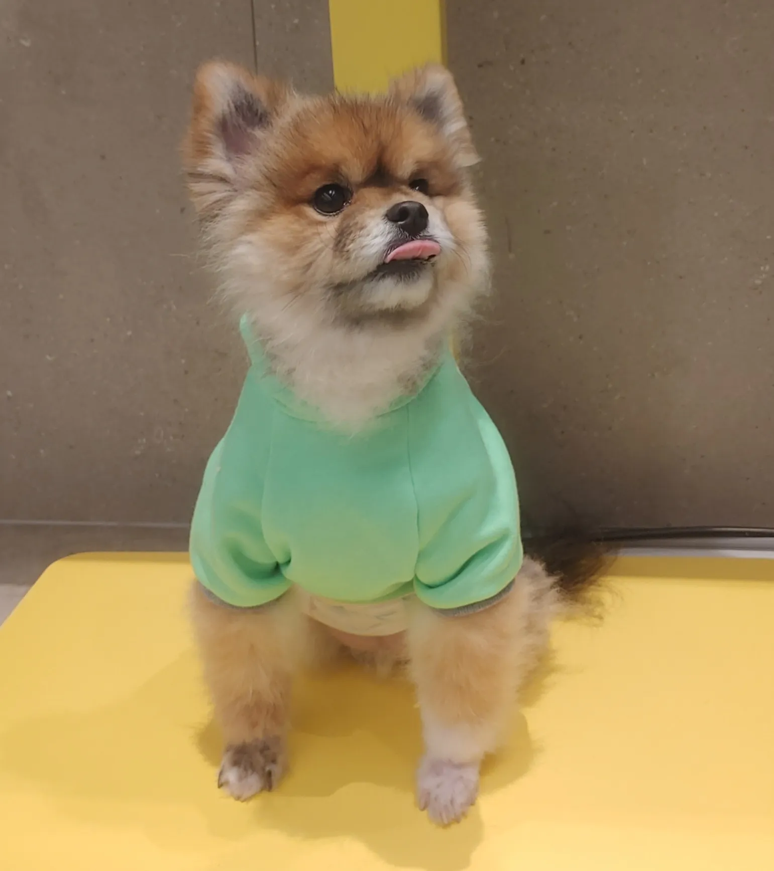 리뷰 이미지