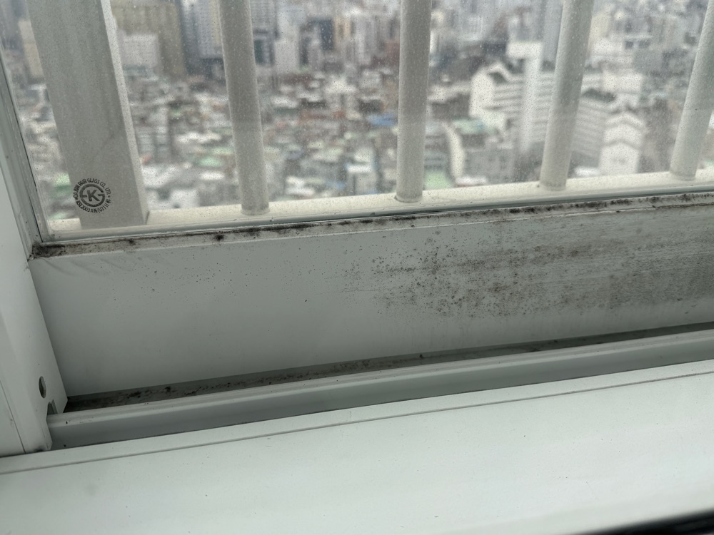후기 사진 3