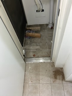 후기 사진 5