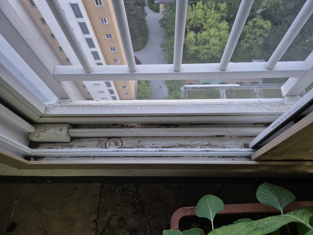 후기 사진 8