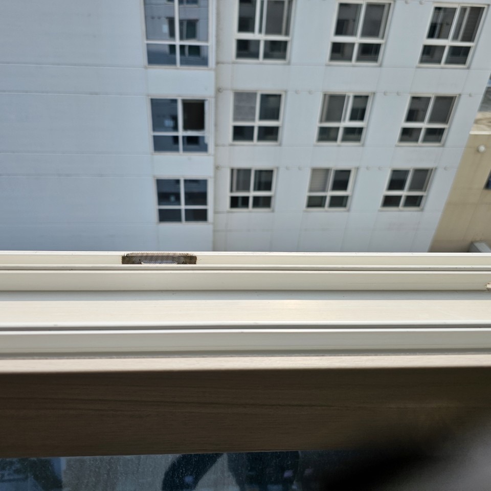 후기 사진 9