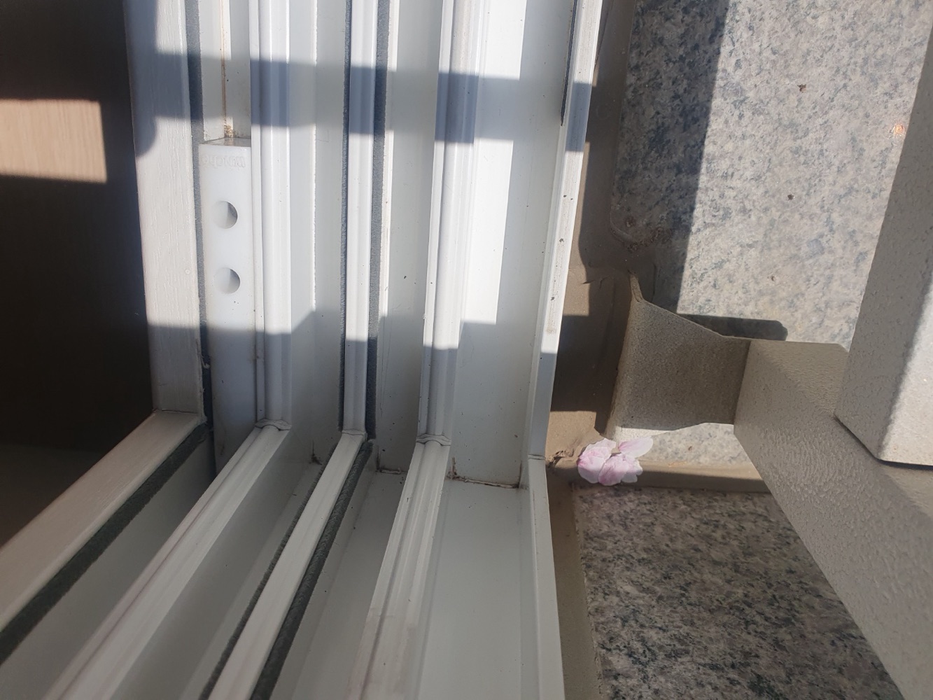 후기 사진 3