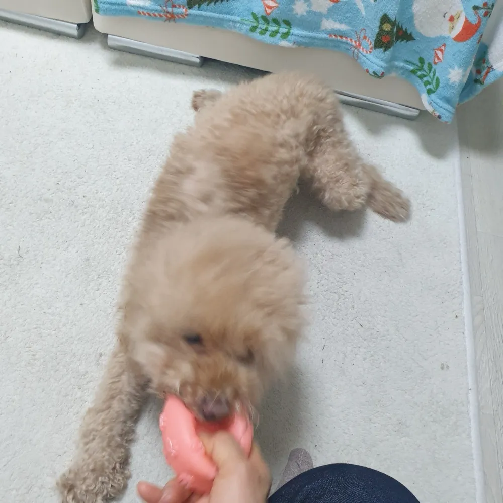 리뷰 이미지