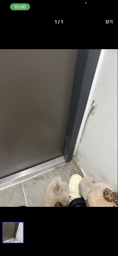 후기 사진 2