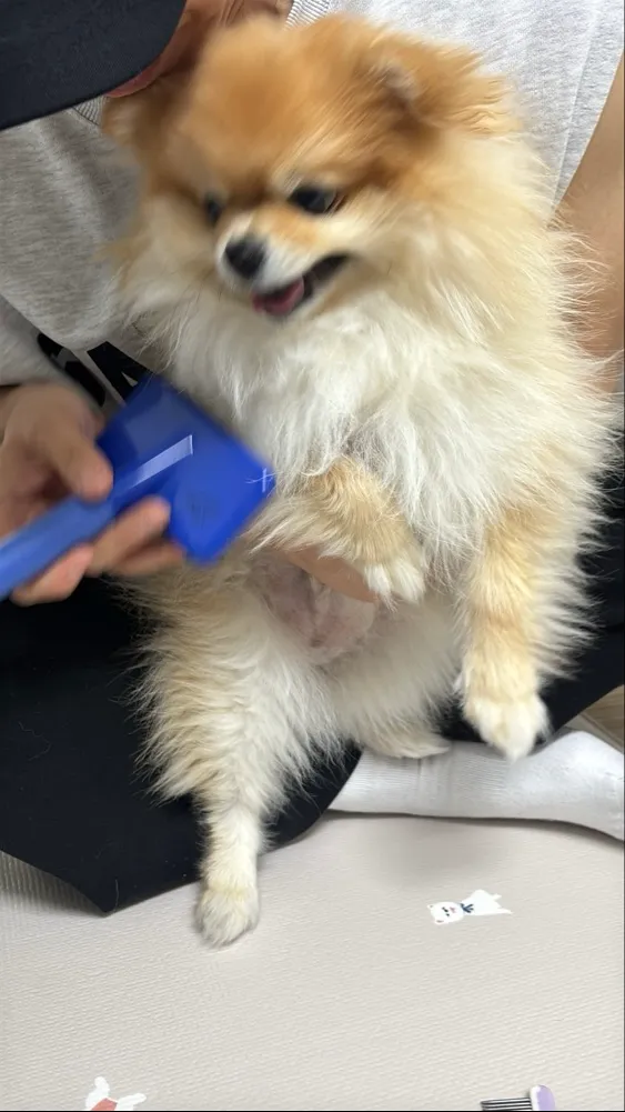 리뷰 이미지