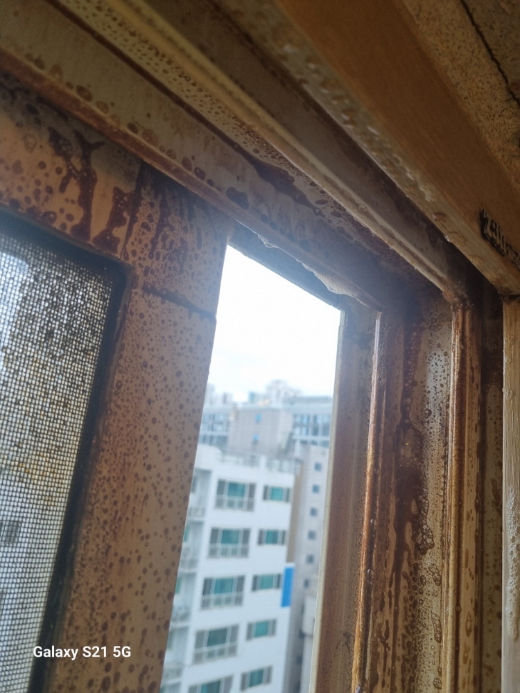 후기 사진 5