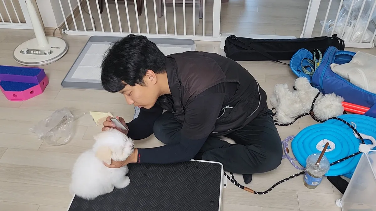 리뷰 이미지