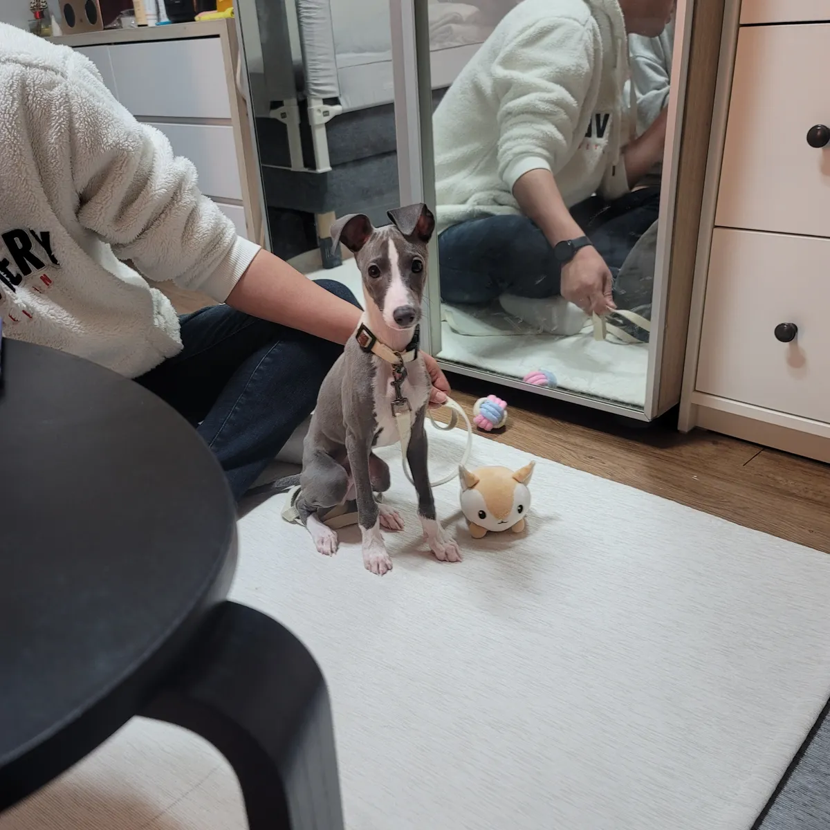 리뷰 이미지