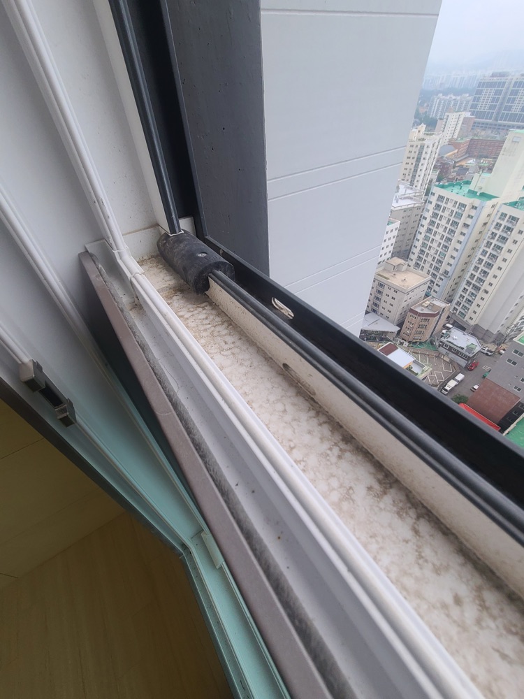 후기 사진 2