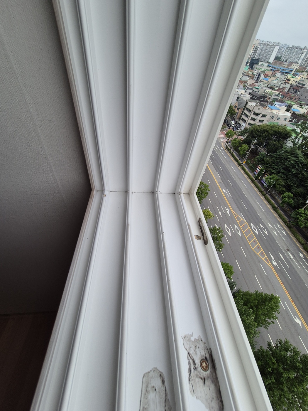 후기 사진 2