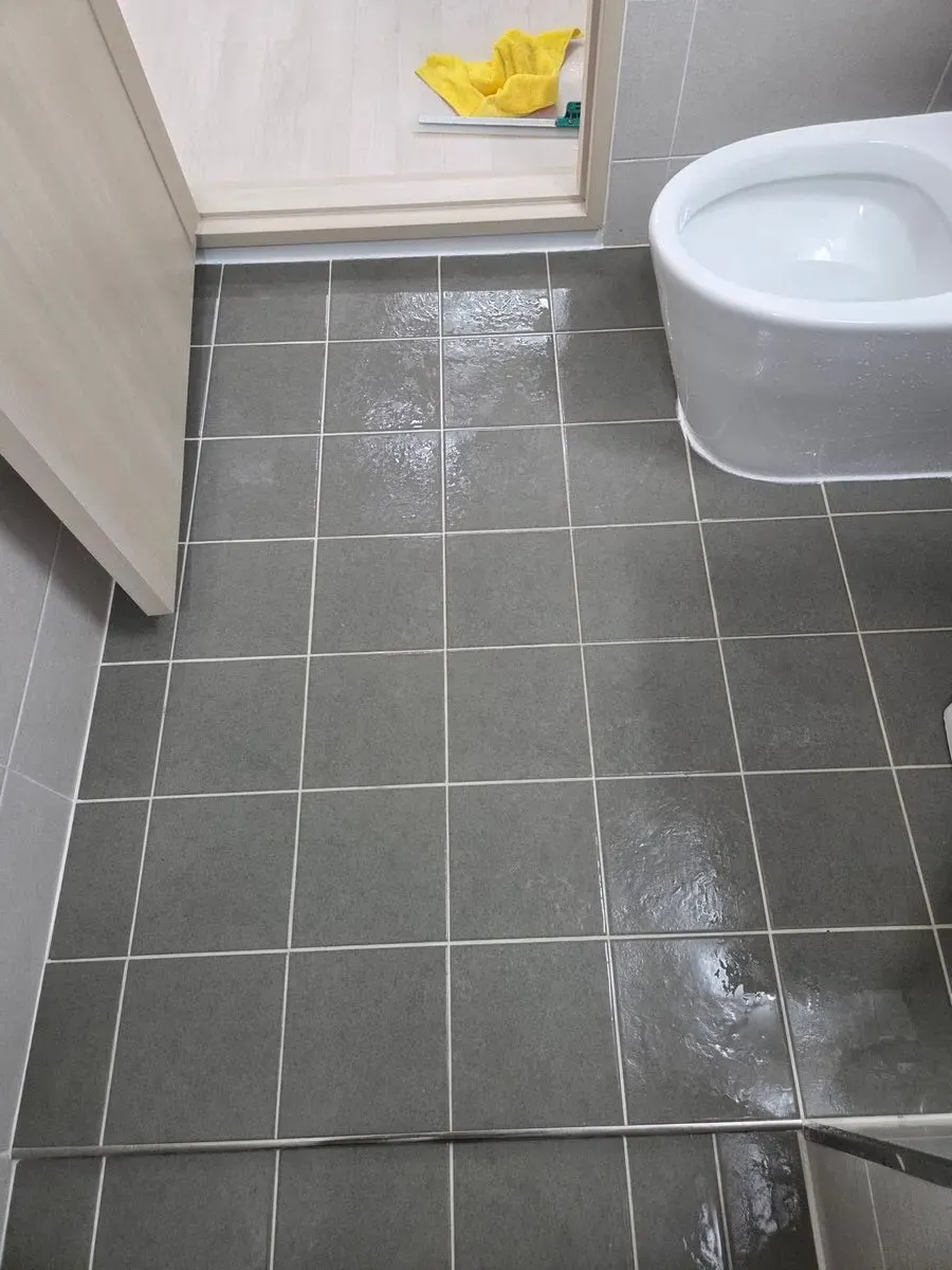 7827e03d-5d19-405c-a032-adc331c8cec0.jpg?webp=1