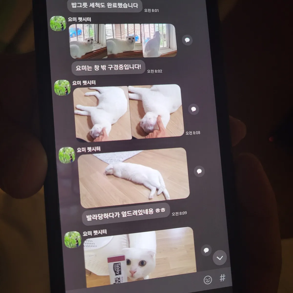 리뷰 이미지