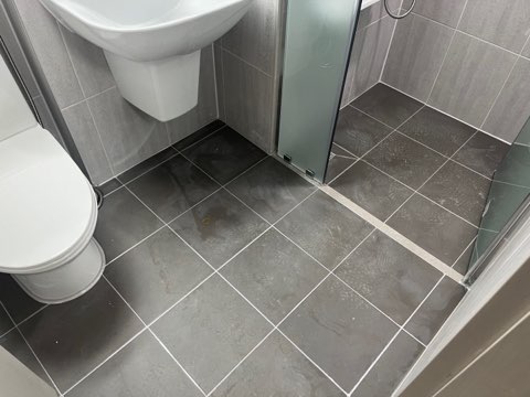 후기 사진 2