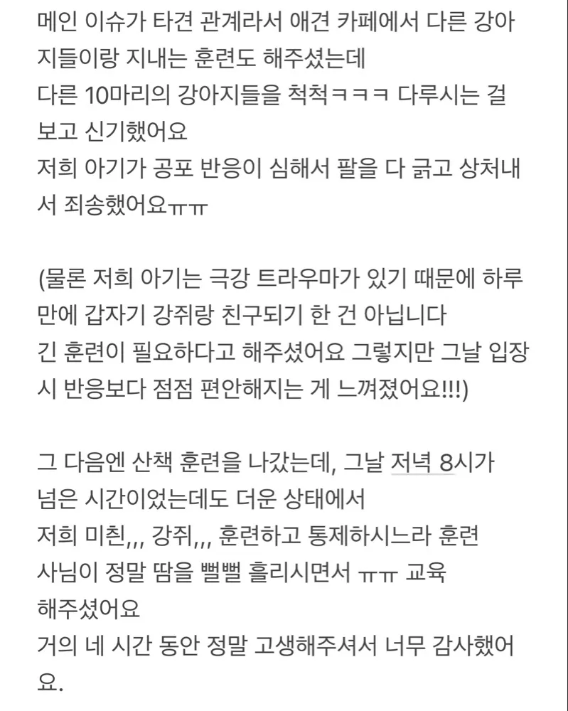 리뷰 이미지