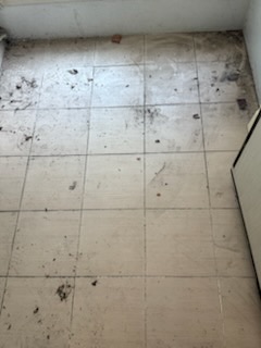 후기 사진 7