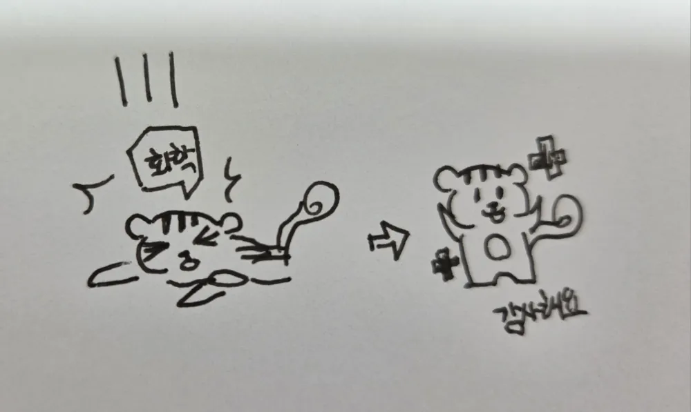 리뷰 이미지