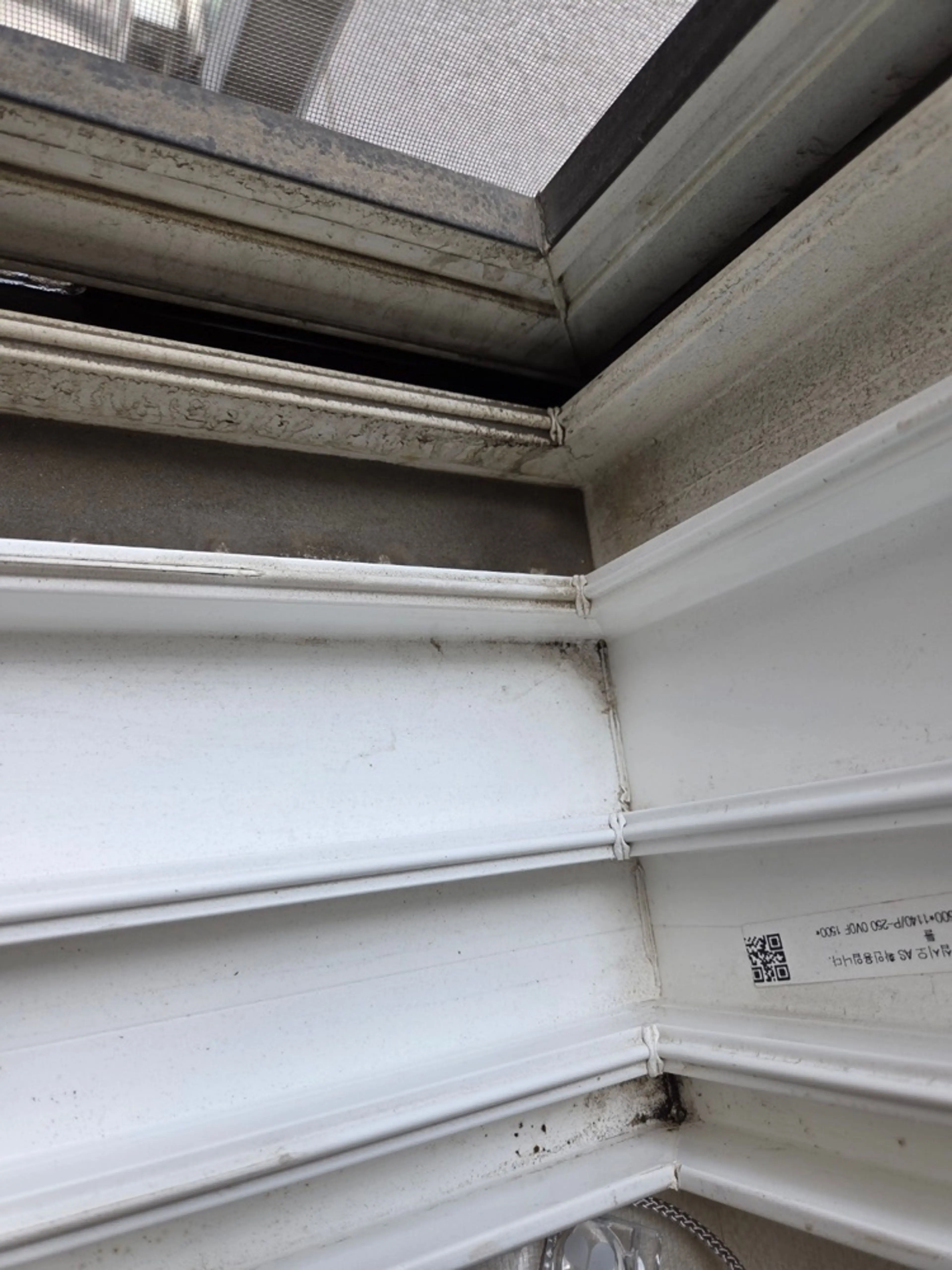 EDEDCA72-A4C2-46D4-AC5B-3A167A921BED.jpg