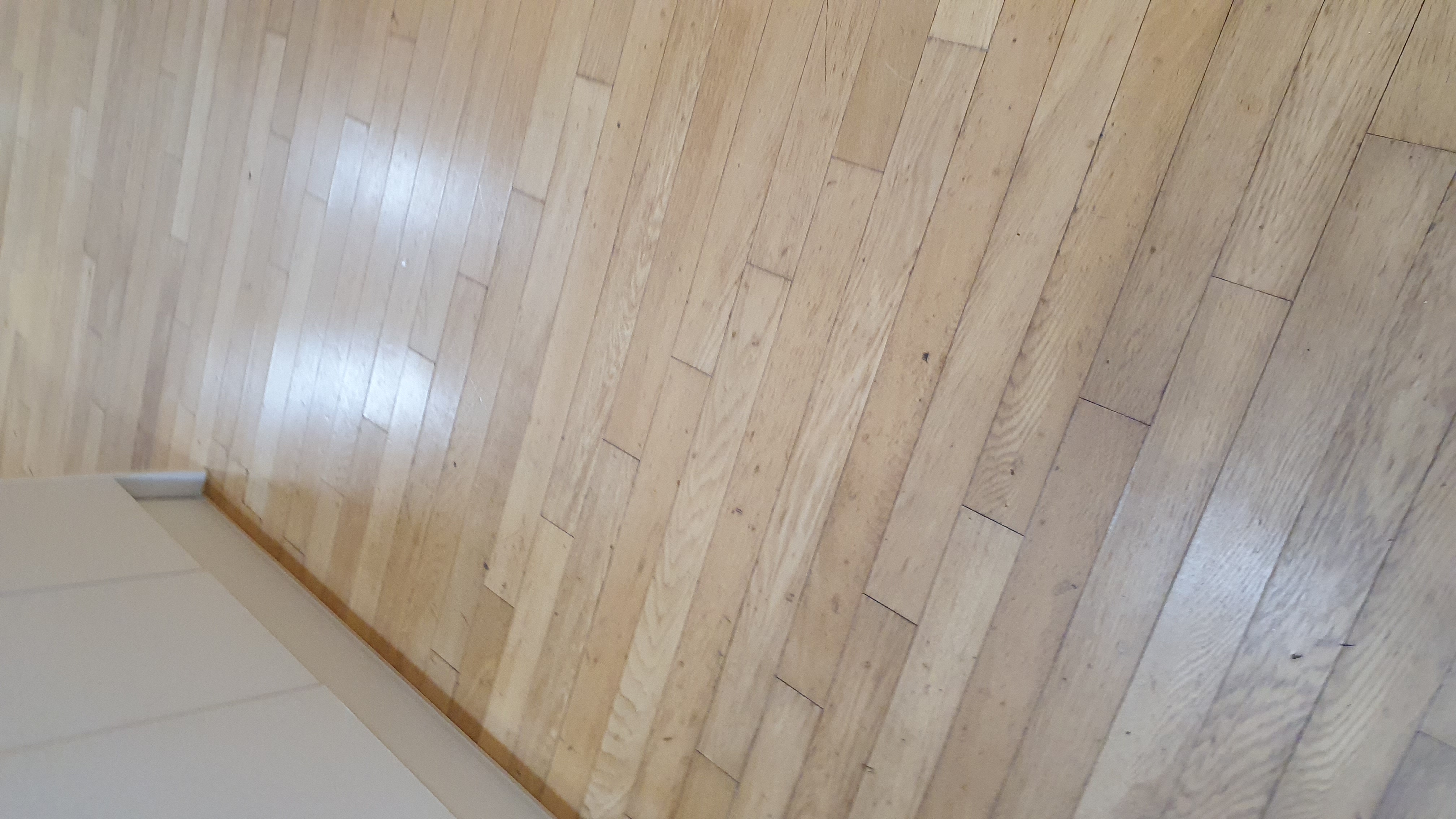 후기 사진 7