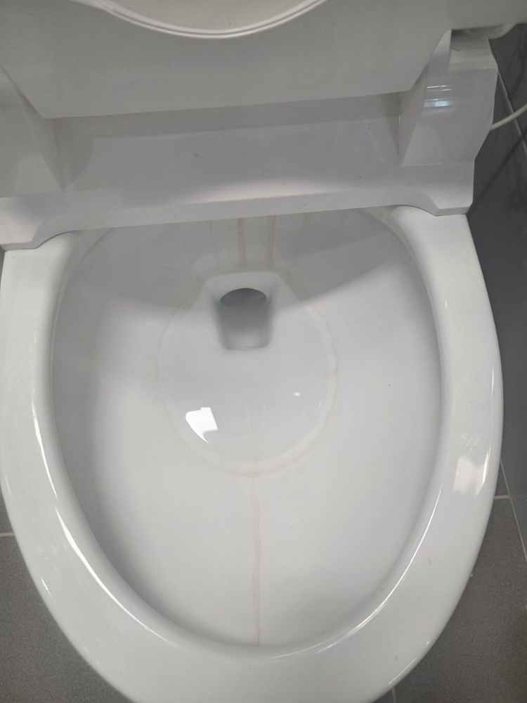 후기 사진 5