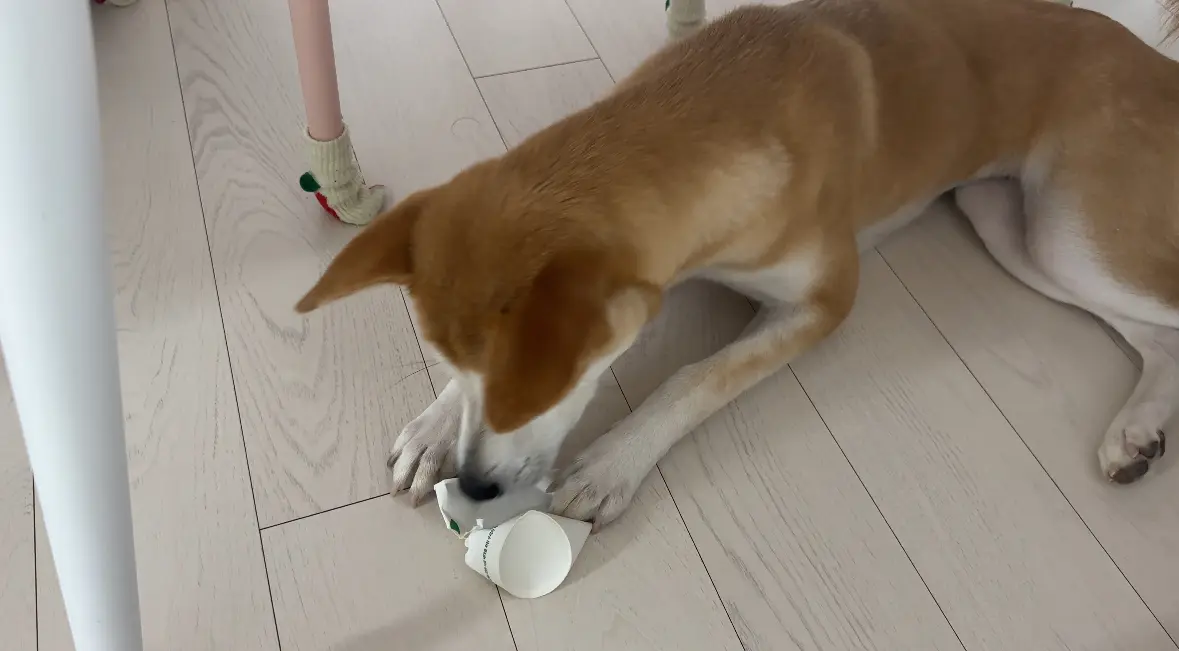 리뷰 이미지