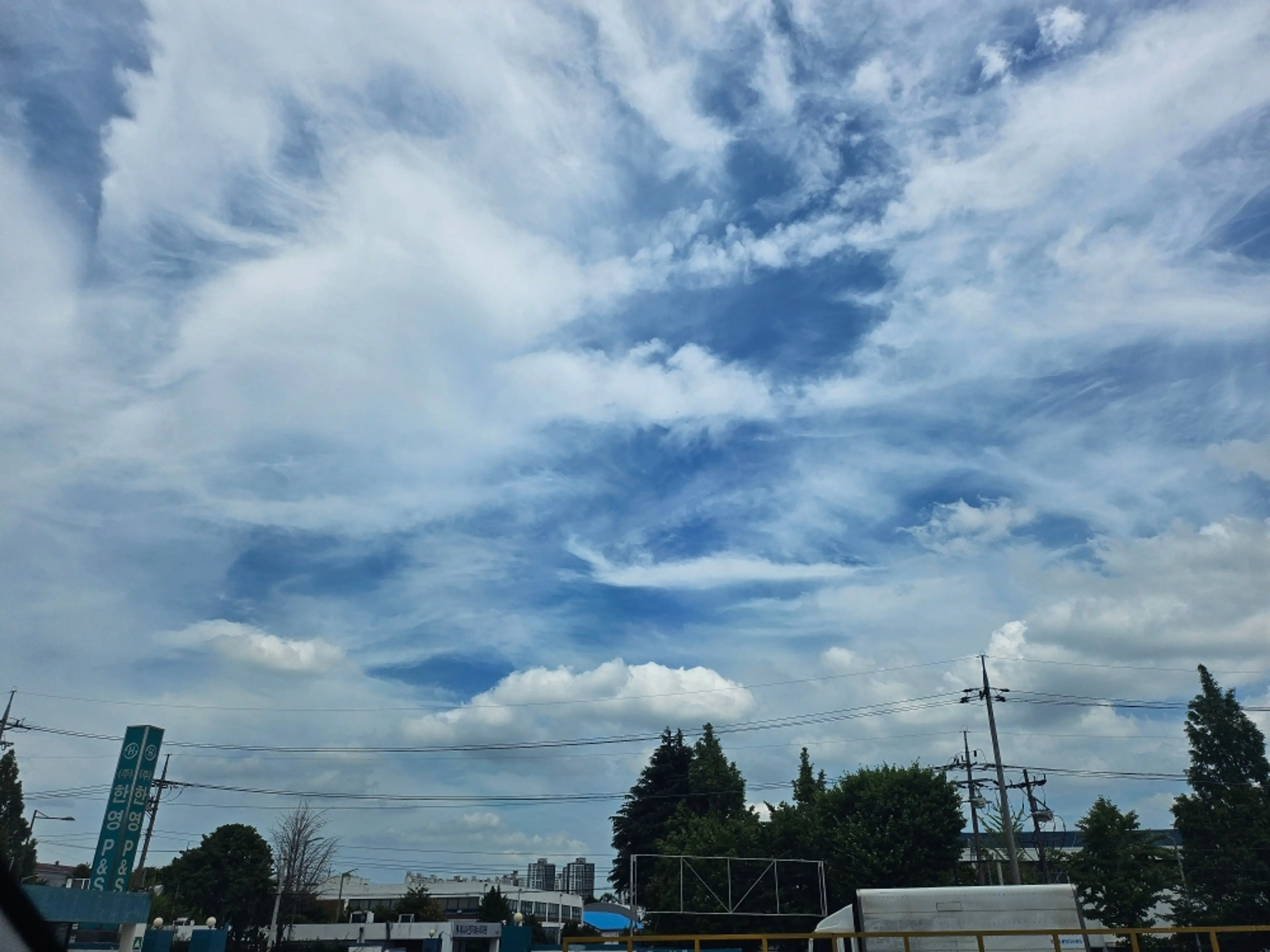 e2175fe5-9d1d-4fba-913a-61b4cea20cb1.jpg